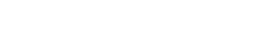 Cognis Group