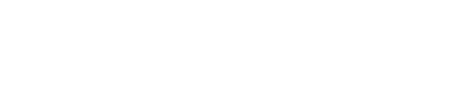 Vertex Partners